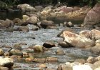 GBMOUNT RESORT, EXPLORE THE BEAUTY OF KALLAR