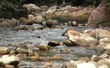 GBMOUNT RESORT, EXPLORE THE BEAUTY OF KALLAR